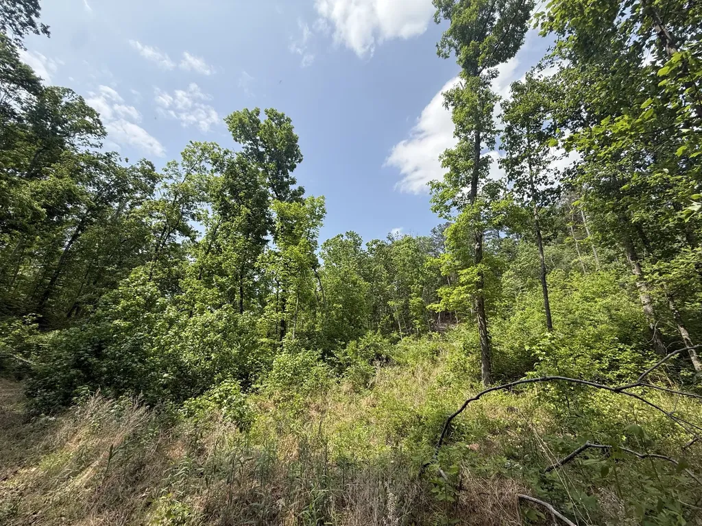 0 Hohenwald Highway Waynesboro TN 38485