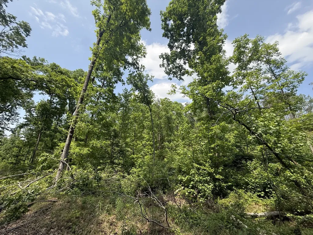 0 Hohenwald Highway Waynesboro TN 38485