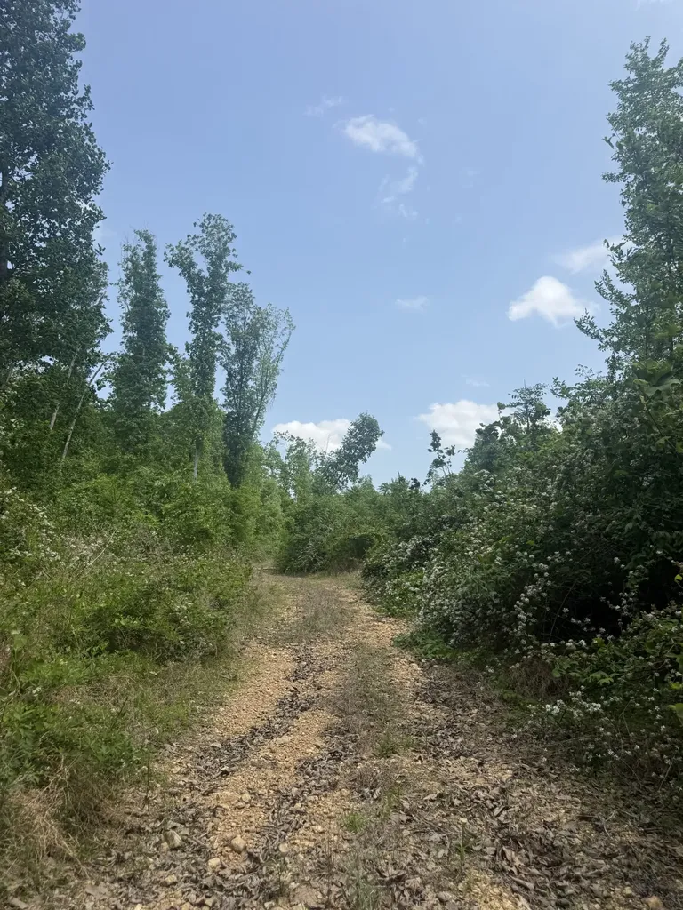 0 Hohenwald Highway Waynesboro TN 38485