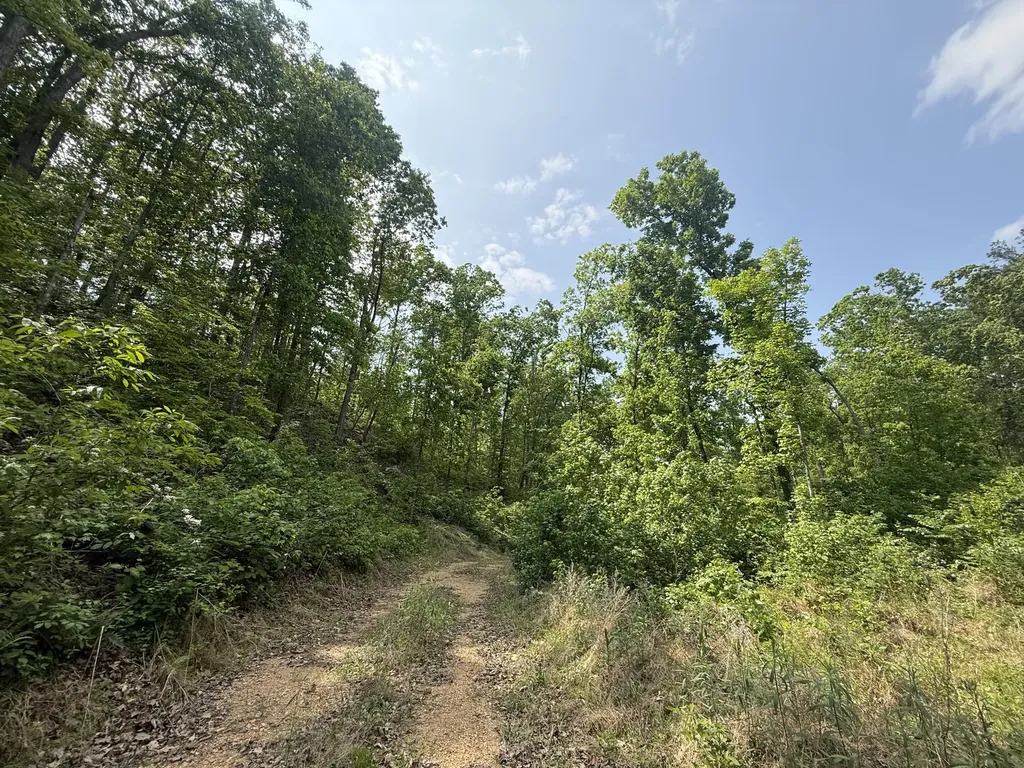 0 Hohenwald Highway Waynesboro TN 38485