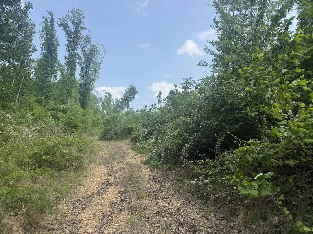 0 Hohenwald Highway Waynesboro TN 38485