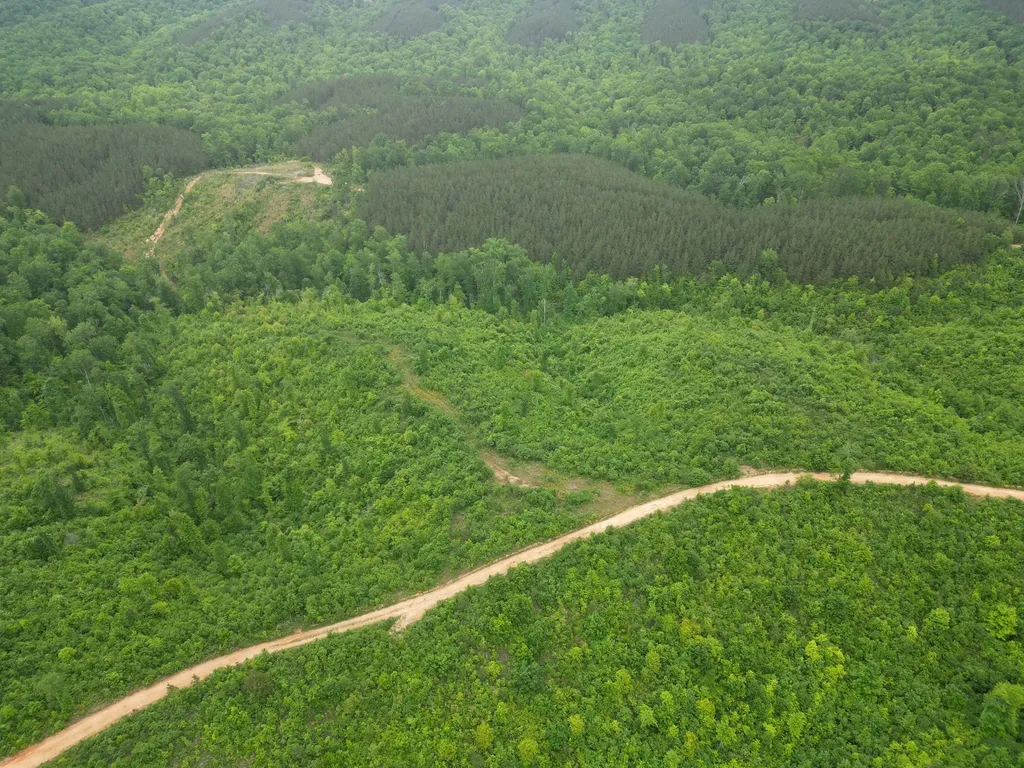 0 Hohenwald Highway Waynesboro TN 38485
