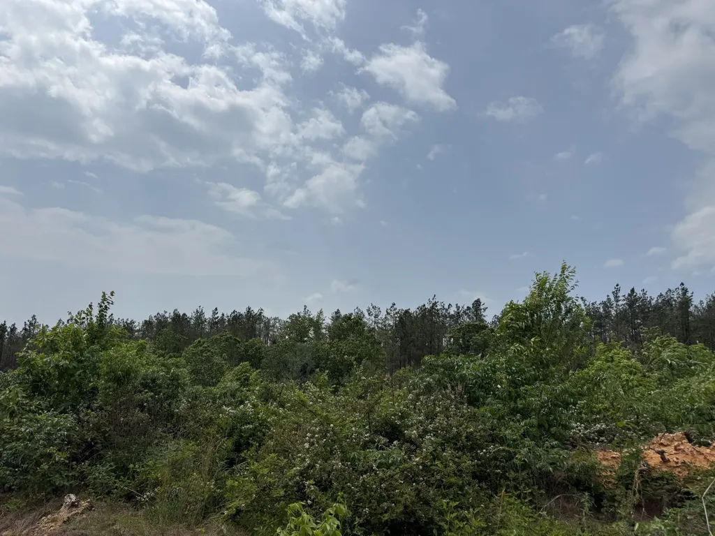 0 Hohenwald Highway Waynesboro TN 38485