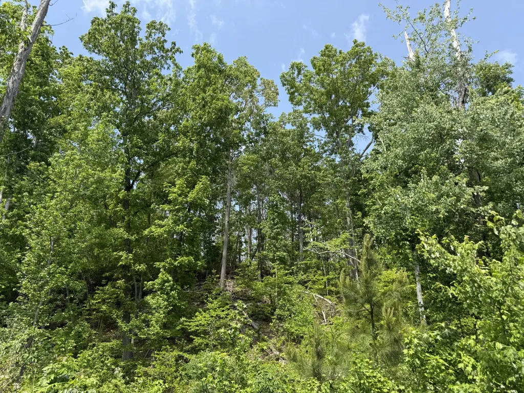 0 Hohenwald Highway Waynesboro TN 38485