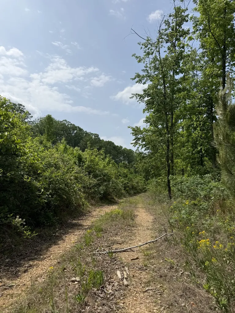0 Hohenwald Highway Waynesboro TN 38485