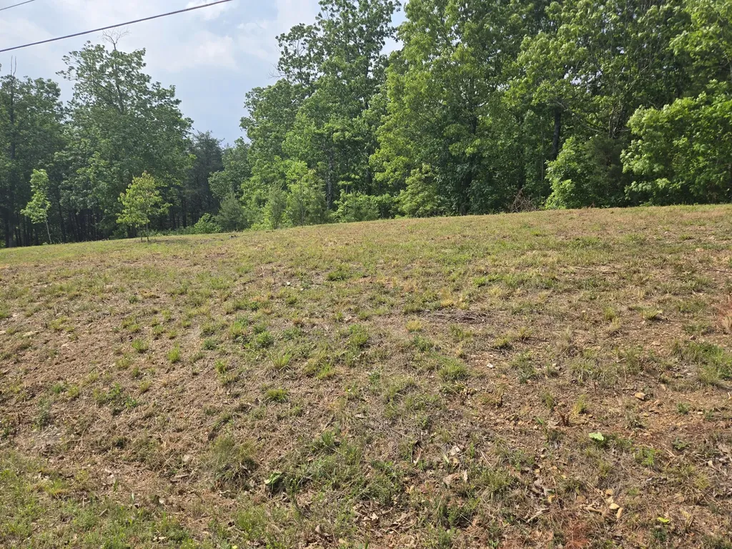 1 Turtle Point Waverly TN 37185