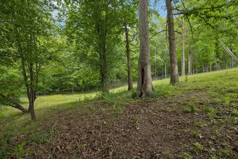 3361 Backridge Road Woodlawn TN 37191
