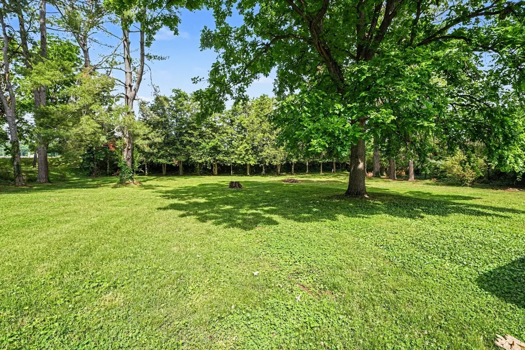 907 Camellia Drive Columbia TN 38401