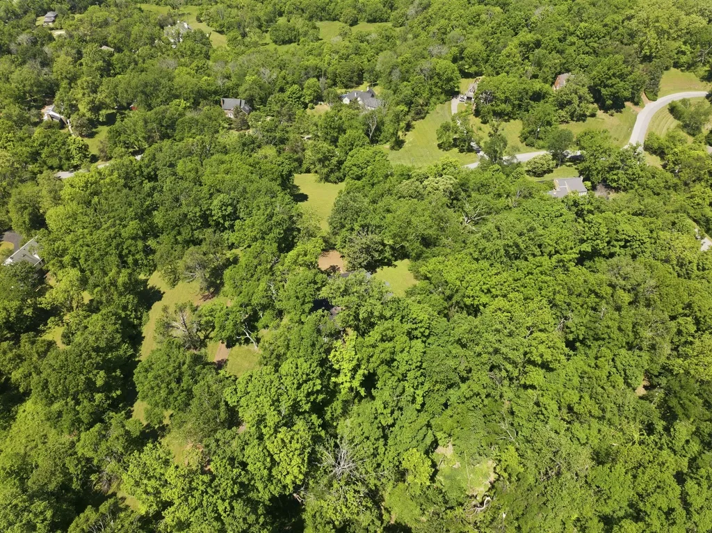 732 Sneed Road, W Franklin TN 37069