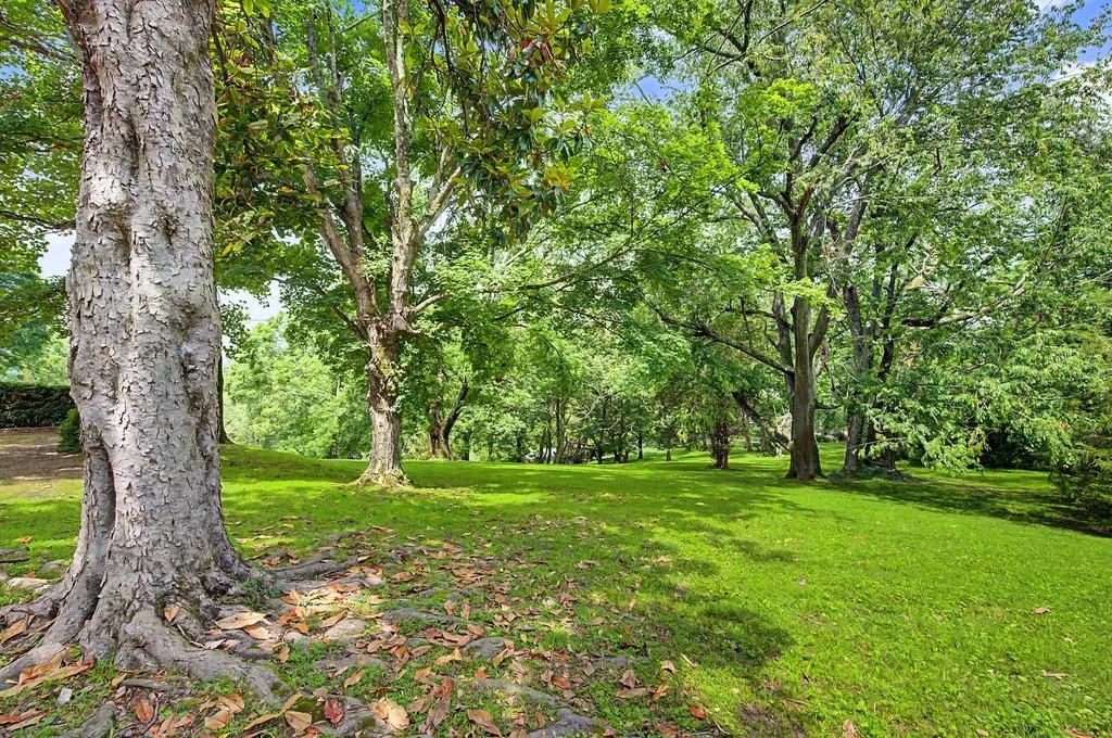 732 Sneed Road, W Franklin TN 37069