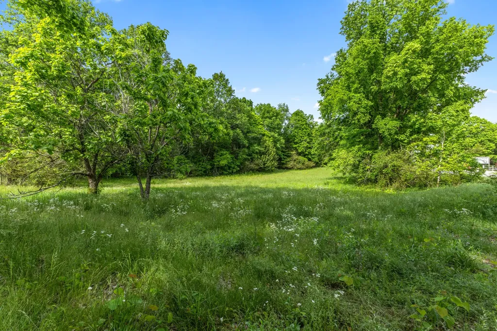 2815 Highway 49, E Charlotte TN 37036