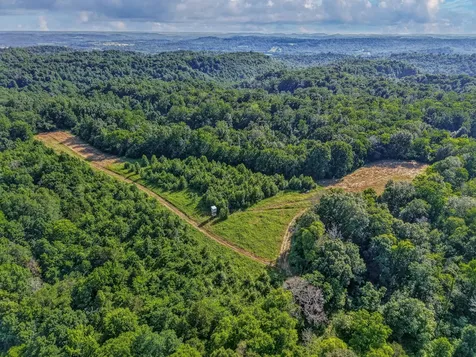 143 Buford Hughey Road Dellrose TN 38453