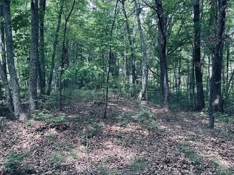 5140 Crockett Jasper TN 37347