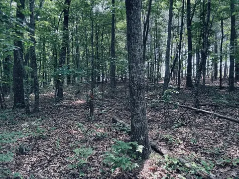 5140 Crockett Jasper TN 37347