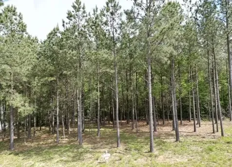 5140 Crockett Jasper TN 37347