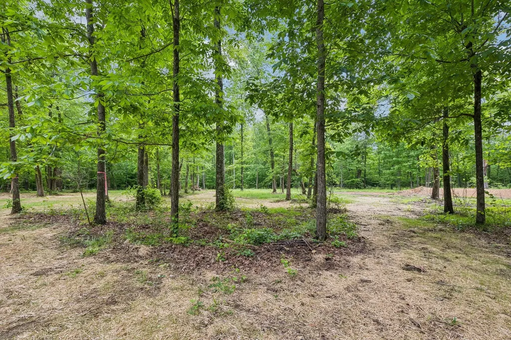 72 Haskell Winton Road Manchester TN 37355
