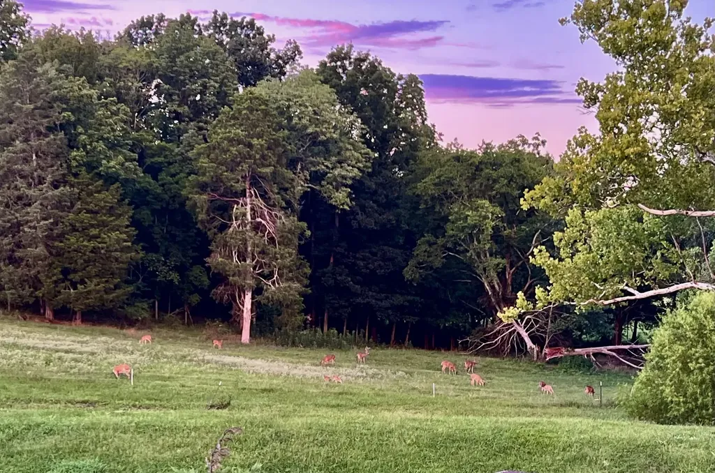 2000 Hedgelawn Drive Lebanon TN 37090