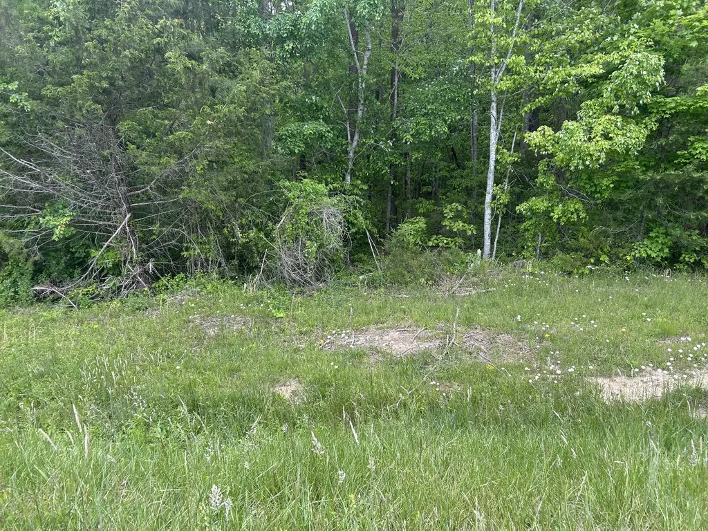 0 Route Davis Road Spencer TN 38585