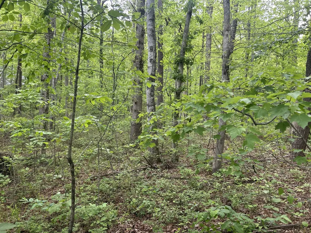 0 Route Davis Road Spencer TN 38585