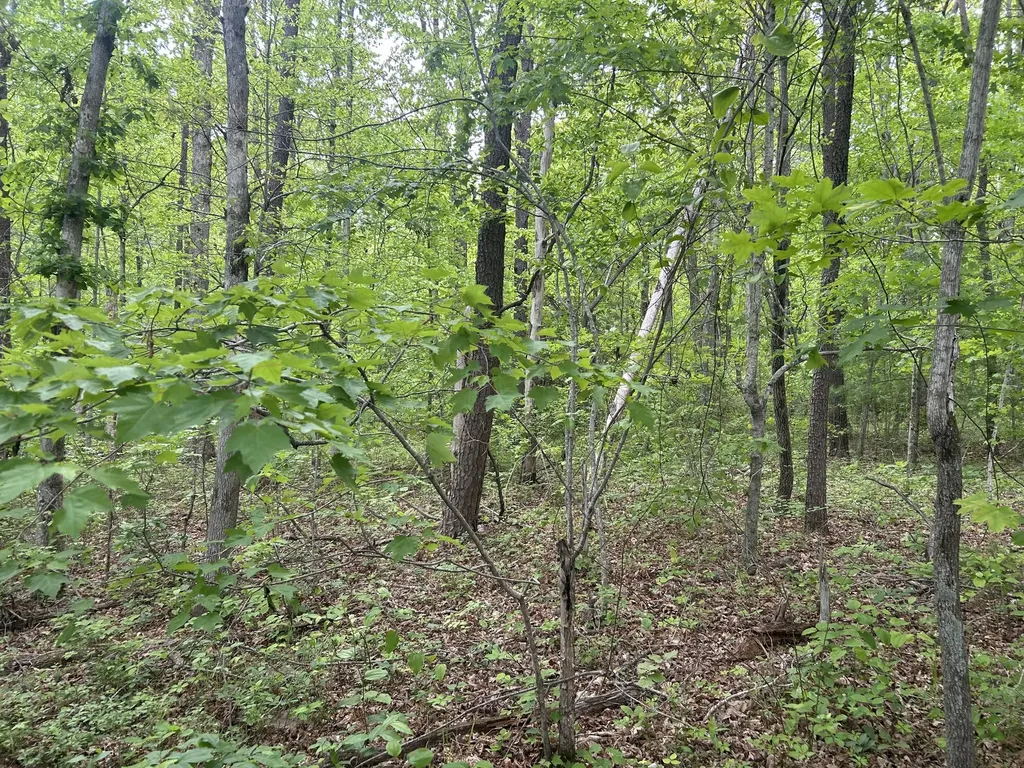 0 Route Davis Road Spencer TN 38585