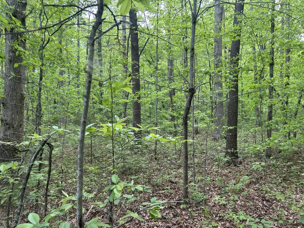 0 Route Davis Road Spencer TN 38585