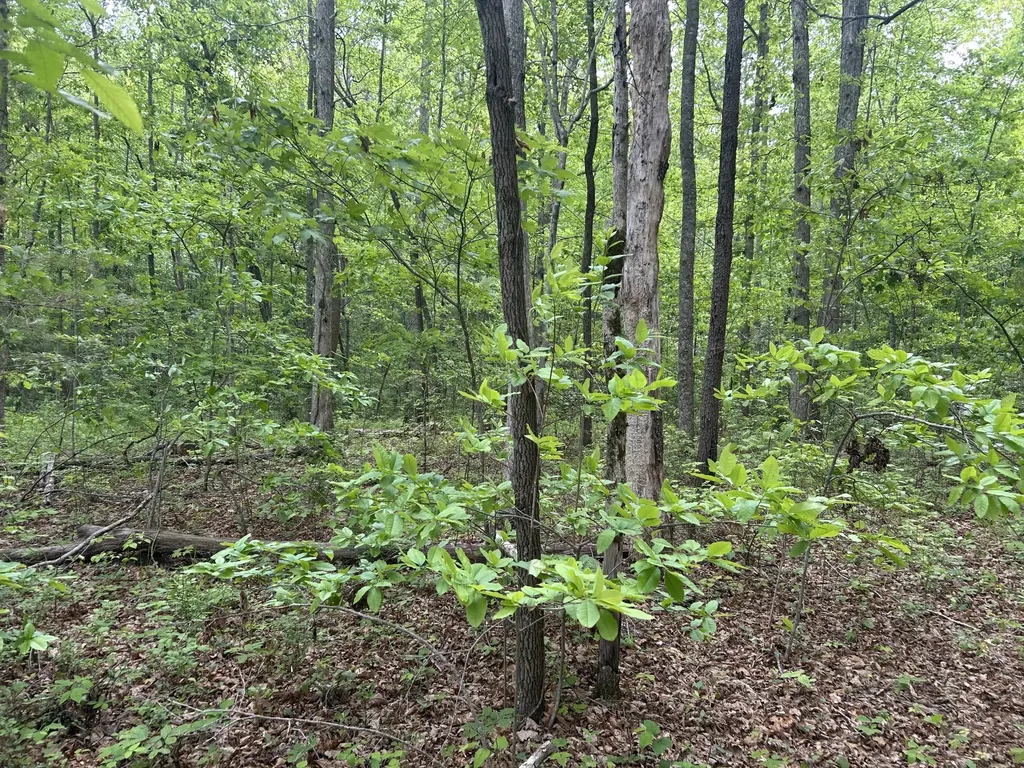 0 Route Davis Road Spencer TN 38585