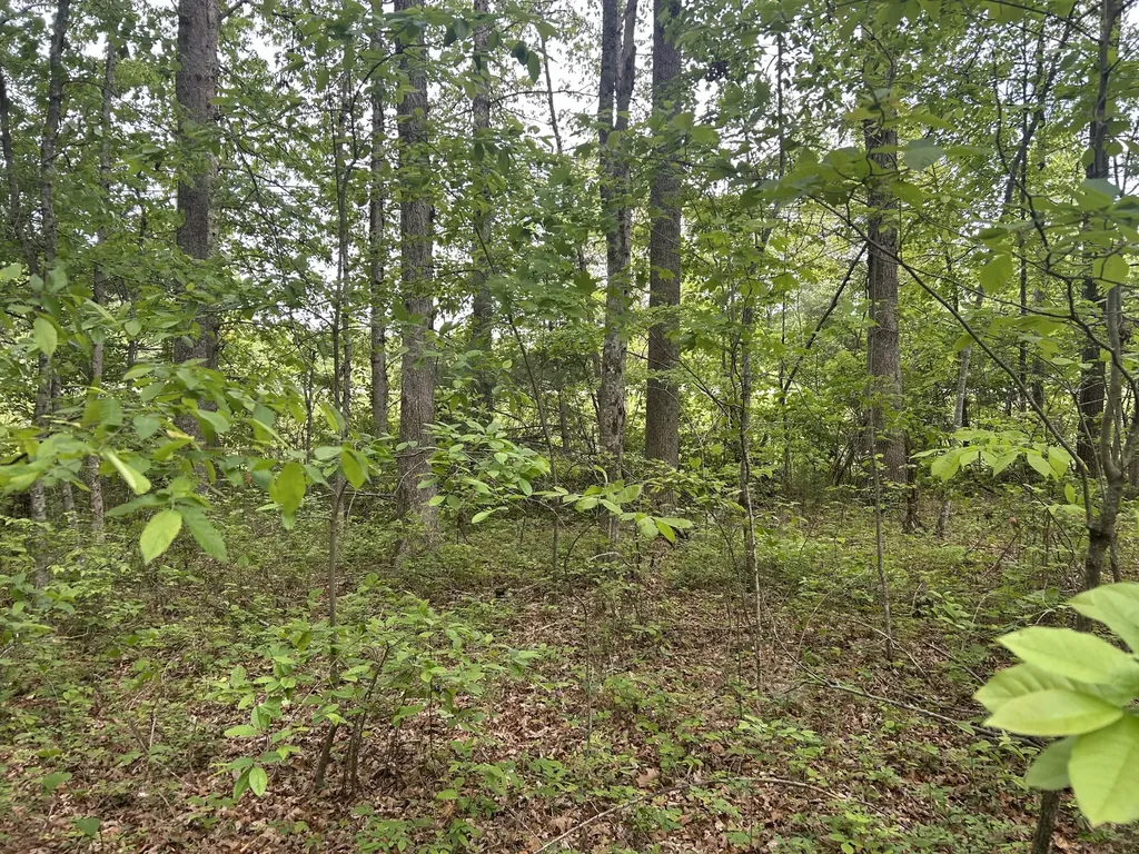 0 Route Davis Road Spencer TN 38585