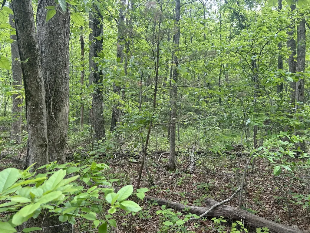 0 Route Davis Road Spencer TN 38585