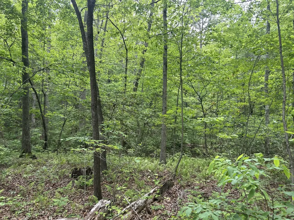 0 Route Davis Road Spencer TN 38585