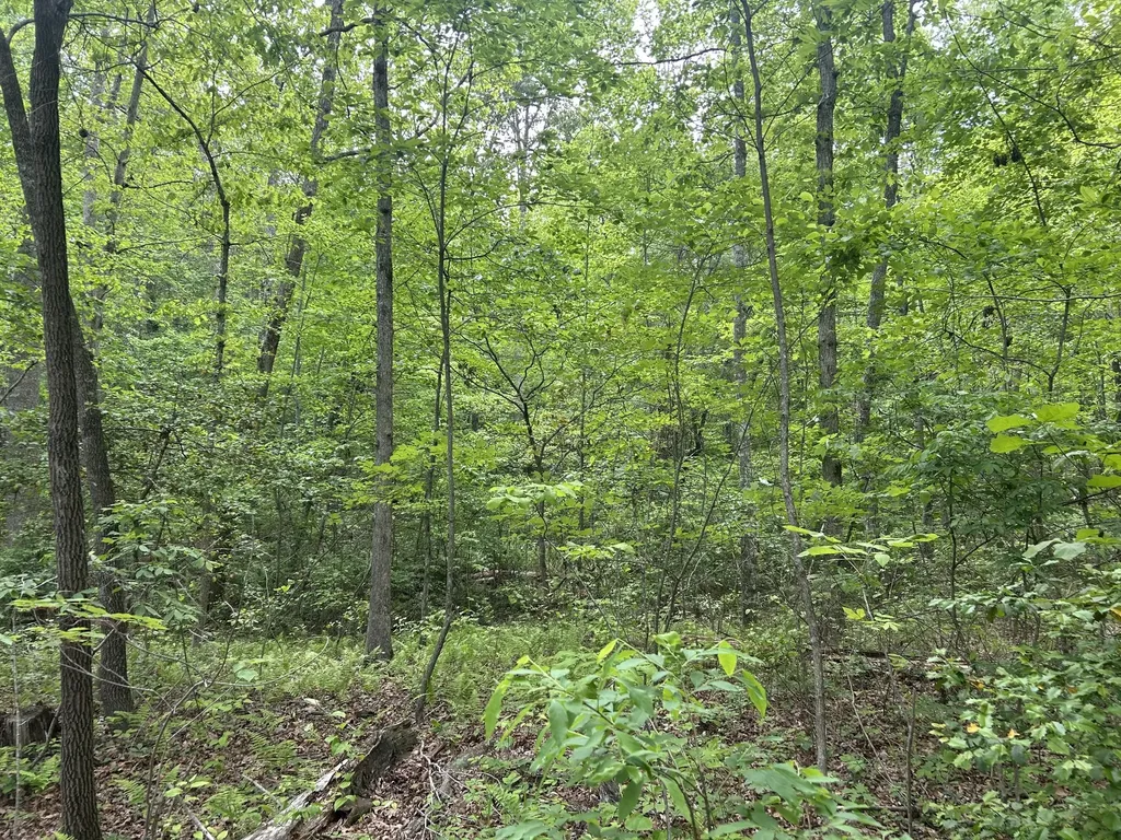 0 Route Davis Road Spencer TN 38585