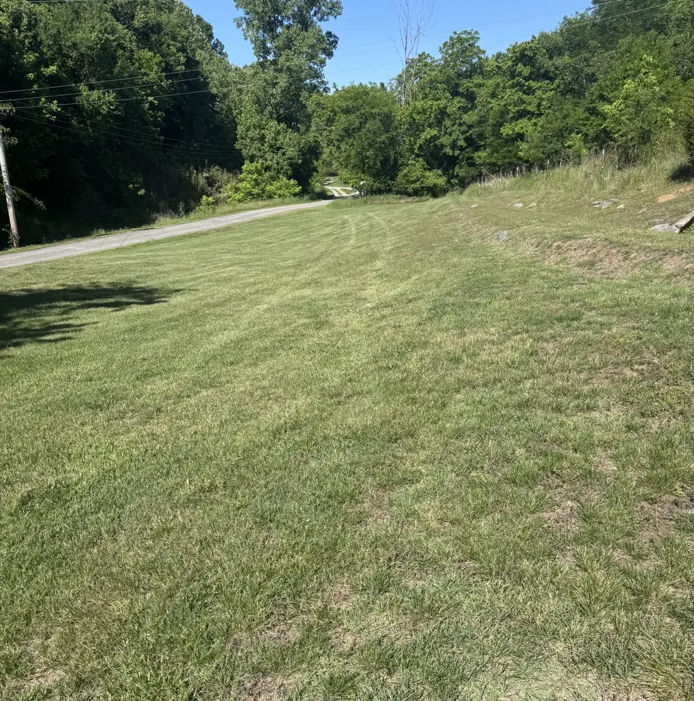 67 Conditt Hollow Road Elmwood TN 38560