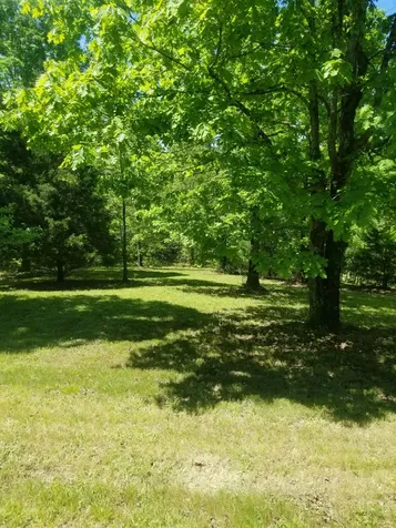 3412 Dogwood Road Hurricane Mills TN 37078