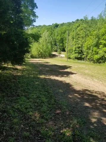 3412 Dogwood Road Hurricane Mills TN 37078