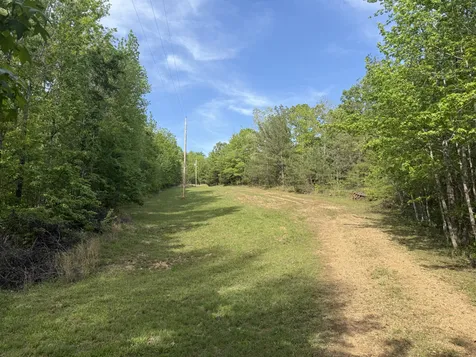 3412 Dogwood Road Hurricane Mills TN 37078