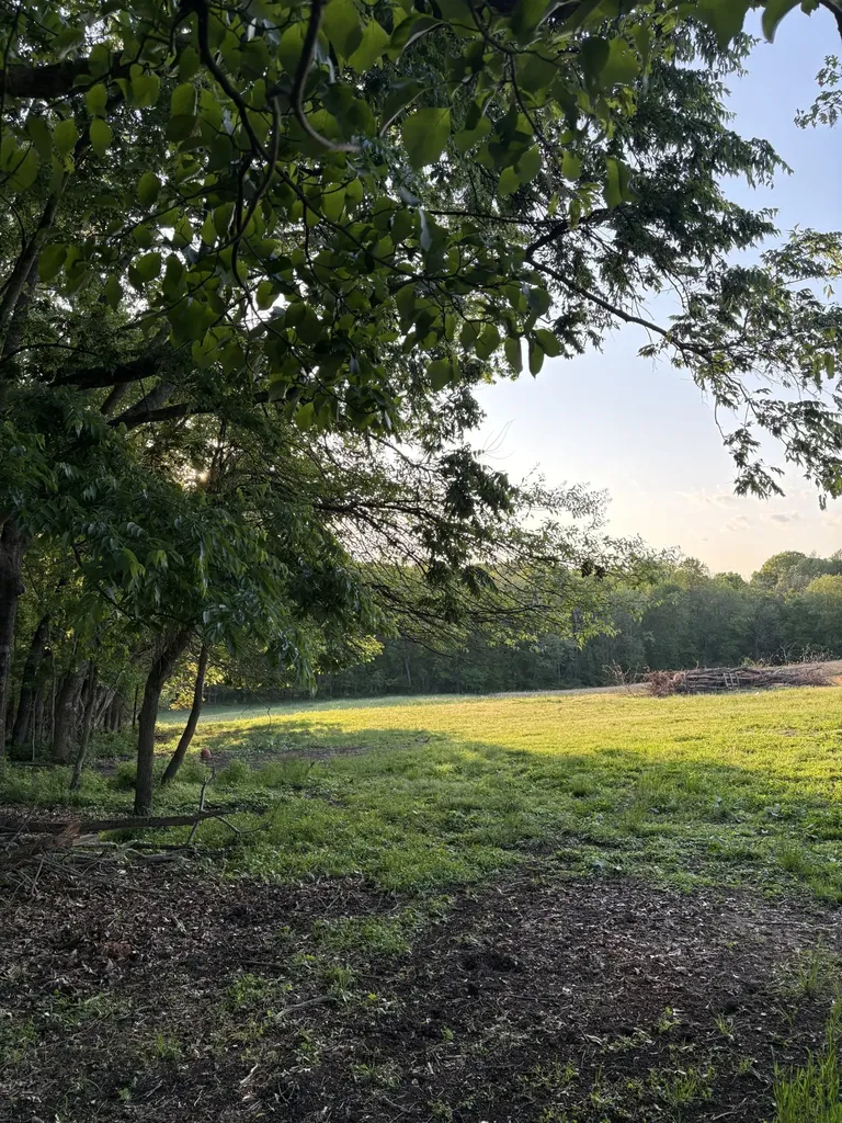 4884 Rock House Road Portland TN 37148