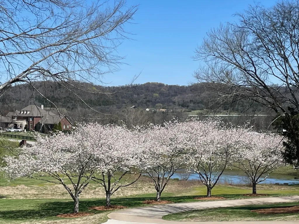 3235 Kinnard Springs Road Franklin TN 37064
