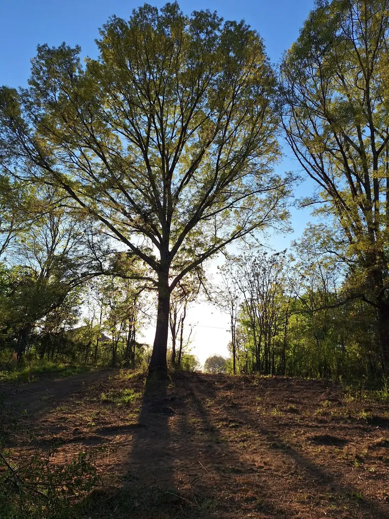 1 Bone Cave Road Rock Island TN 38581