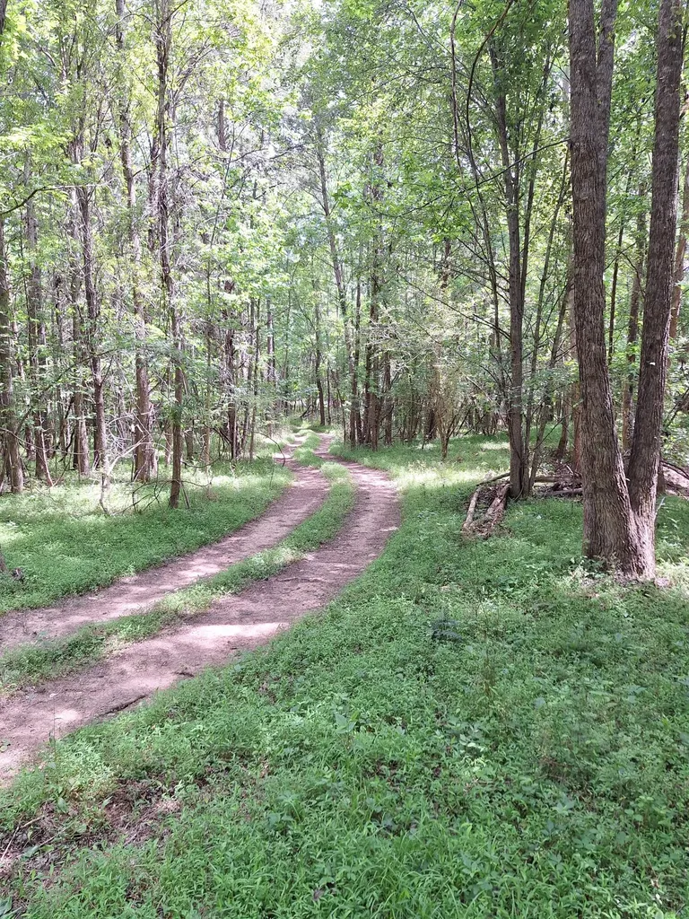 1 Bone Cave Road Rock Island TN 38581
