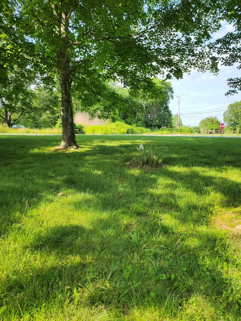 2416 Lee Drive Pleasant View TN 37146