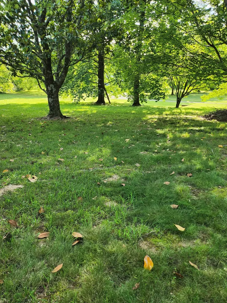 2416 Lee Drive Pleasant View TN 37146