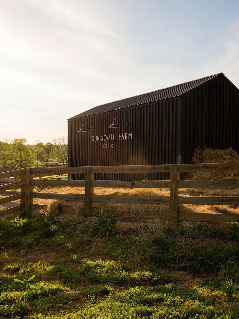 2311 Darks Mill Road Columbia TN 38401