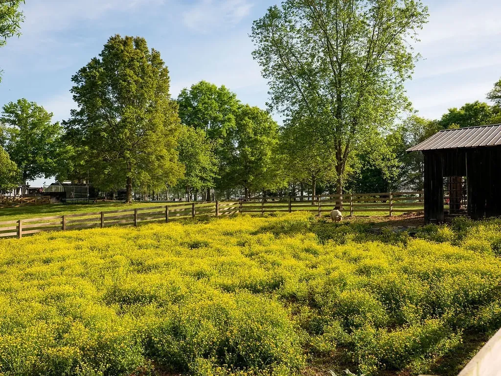 2311 Darks Mill Road Columbia TN 38401