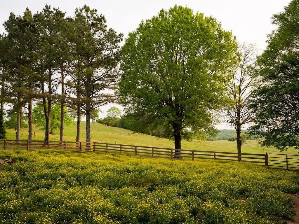 2311 Darks Mill Road Columbia TN 38401
