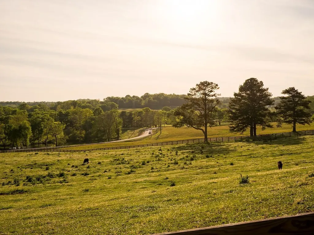 2311 Darks Mill Road Columbia TN 38401