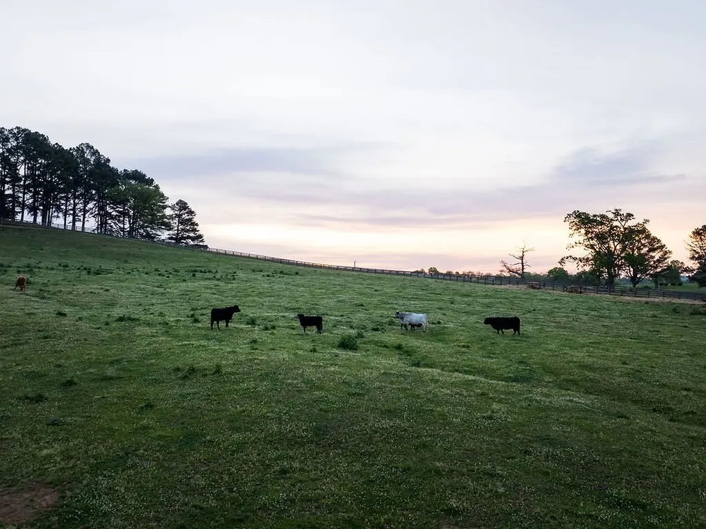 2311 Darks Mill Road Columbia TN 38401
