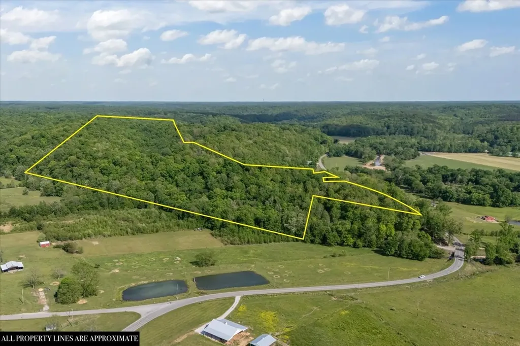 6130 Clydeton Road Waverly TN 37185