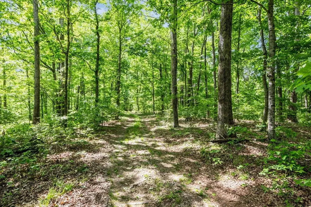 6130 Clydeton Road Waverly TN 37185