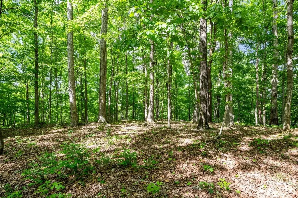 6130 Clydeton Road Waverly TN 37185