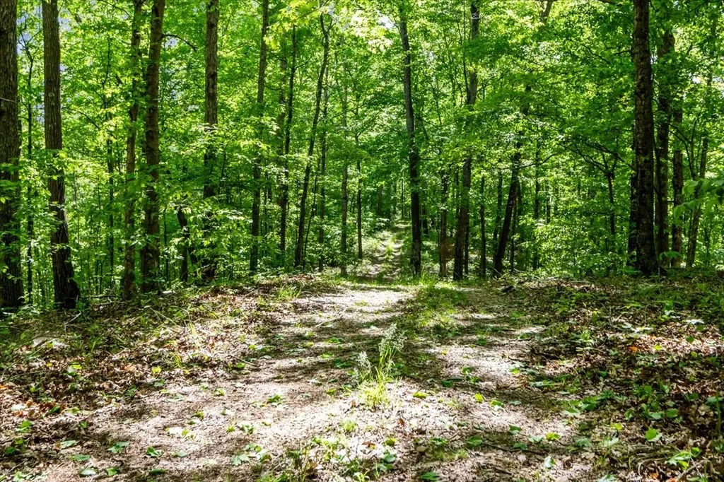 6130 Clydeton Road Waverly TN 37185