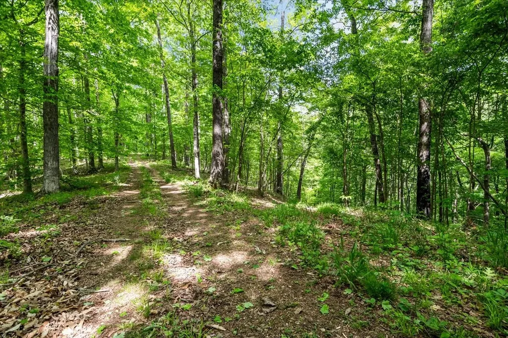 6130 Clydeton Road Waverly TN 37185